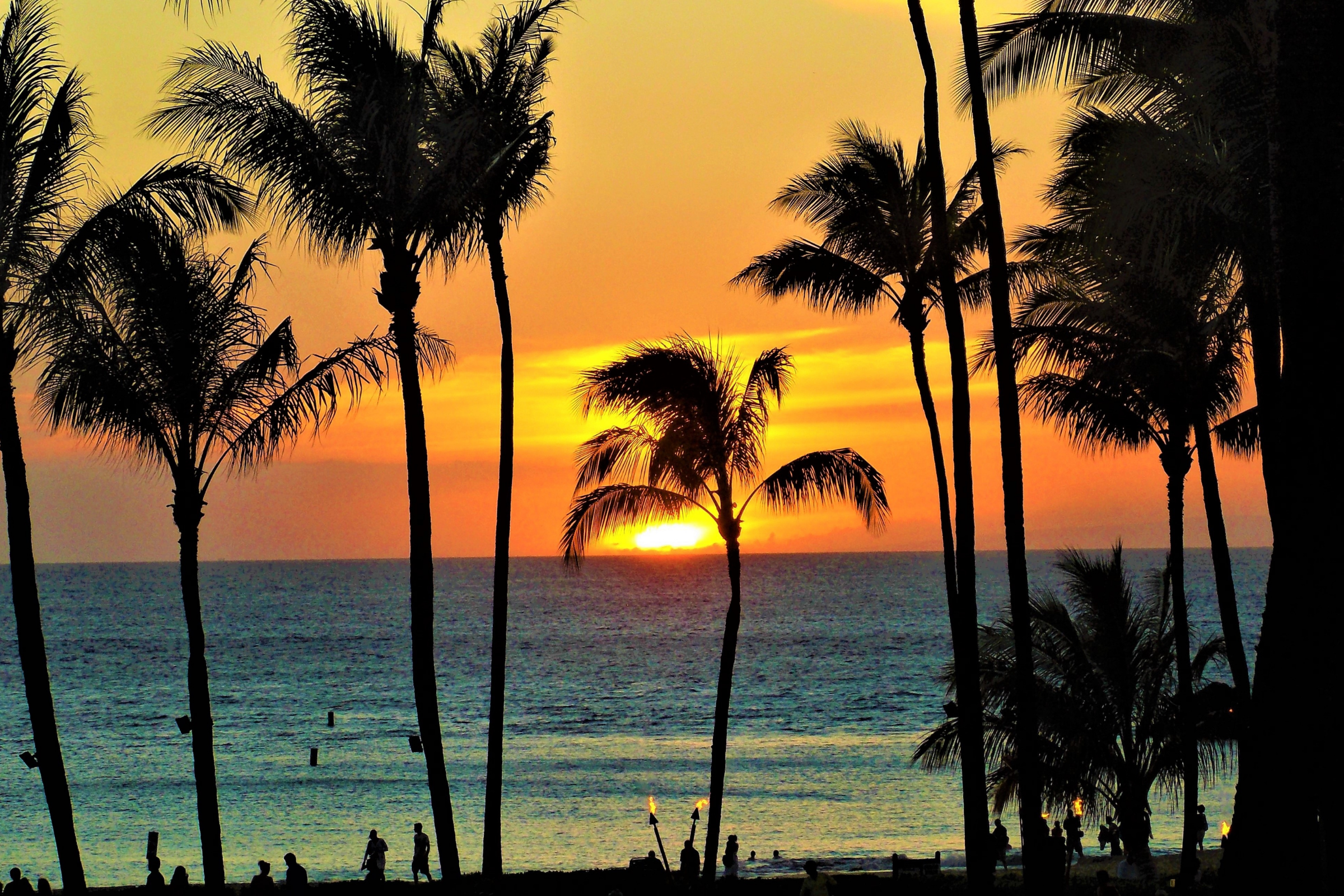 waikoloa, hawaii (2).webp